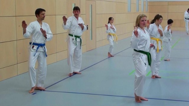Taekwondo Training